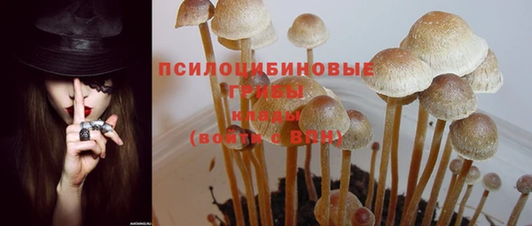 СК Абинск