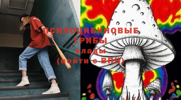 амф Алексеевка