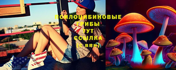 СК Абинск