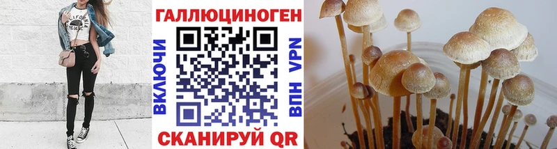 Псилоцибиновые грибы Psilocybine cubensis  shop какой сайт  Калачинск  ссылка на мегу зеркало 